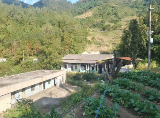 1764050069705642.png image.png