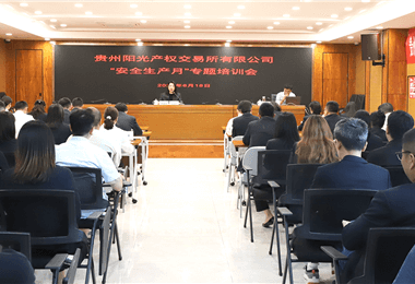 貴州陽光產(chǎn)權(quán)交易所有限公司舉辦2024年“安全生產(chǎn)月”專題培訓(xùn)