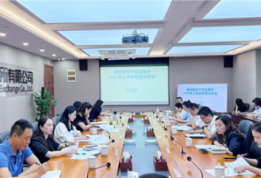 貴州陽光產權交易所召開2025年上半年經營分析會
